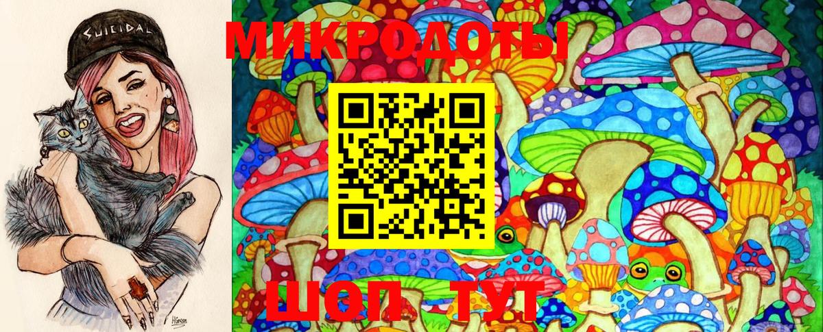 Галлюциногенные грибы Magic Shrooms  Псилоцибиновые грибы ЛСД  Заинск  Вход с VPN 
